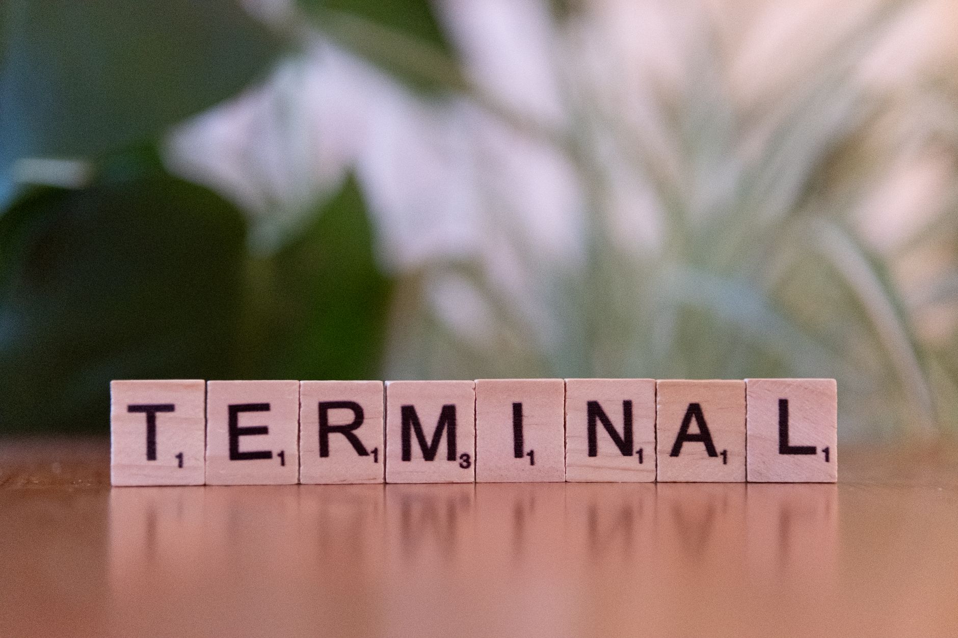Wooden Scrabble tiles on a table spelling out the word 'Terminal'.