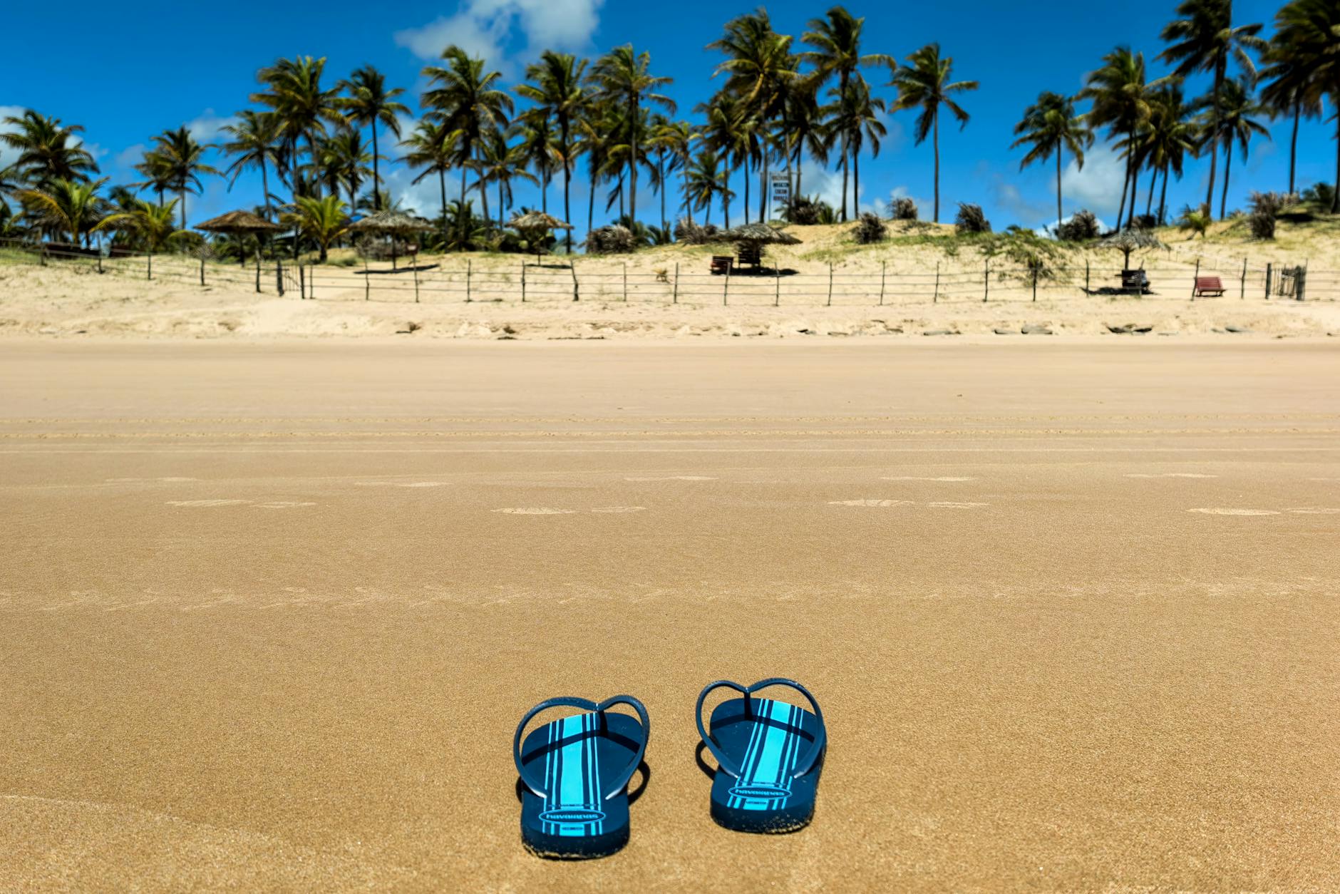 Blue sandals on a sandy beach with palm trees in the background under a clear sky.